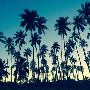 Meet your Posher, Josh